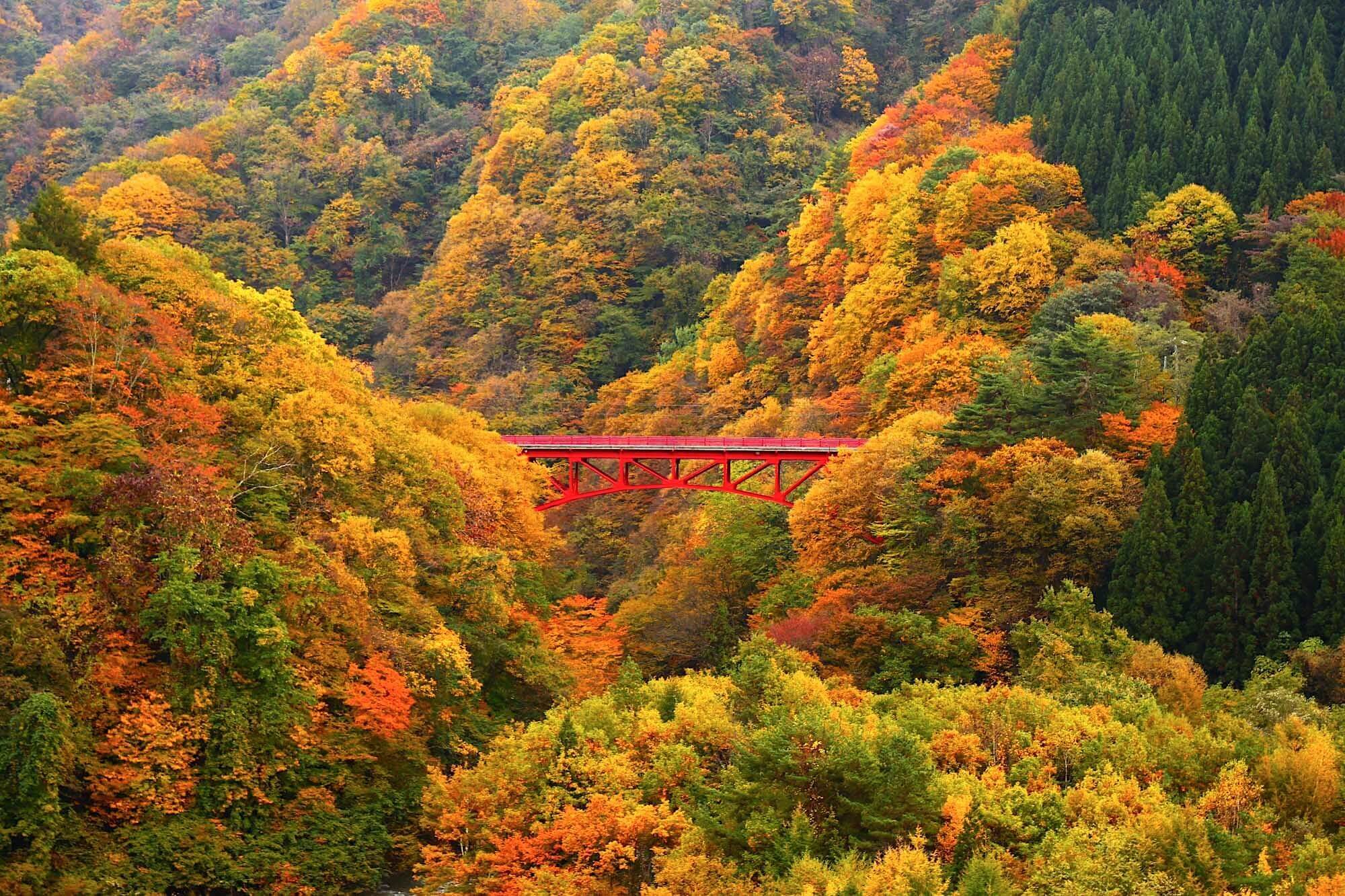 秋の紅葉に包まれる松川渓谷