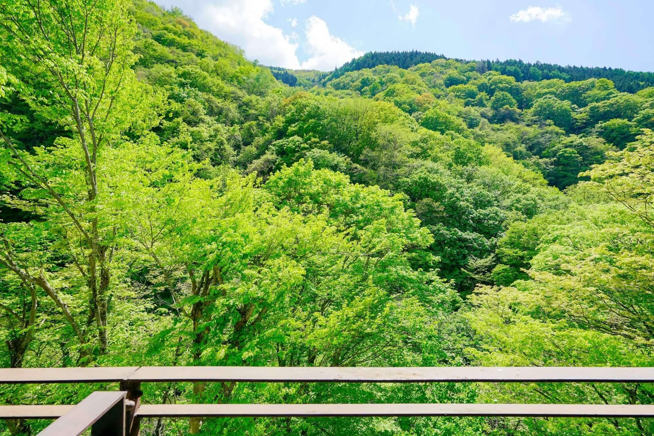 平野屋旅館の客室から望む松川渓谷の新緑